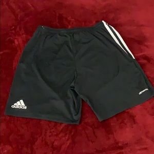 climacool adidas shorts